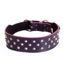 (image for) Beaupets Staffy Collar Studded 50Cm Purple