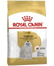 (image for) Royal Canin Dog Mini Maltese 1.5Kg