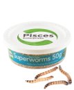 (image for) Pisces Live SuperWorms 50g