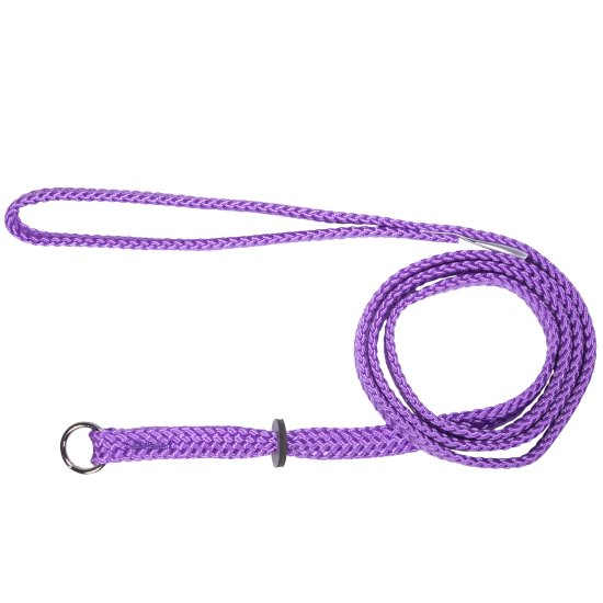 (image for) Beaupets Lead Correction 10mmX180cm Purple - Click Image to Close