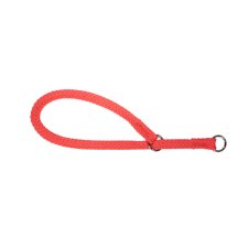 (image for) Beaupets Nylon Correction 10Mm X 50Cm Red