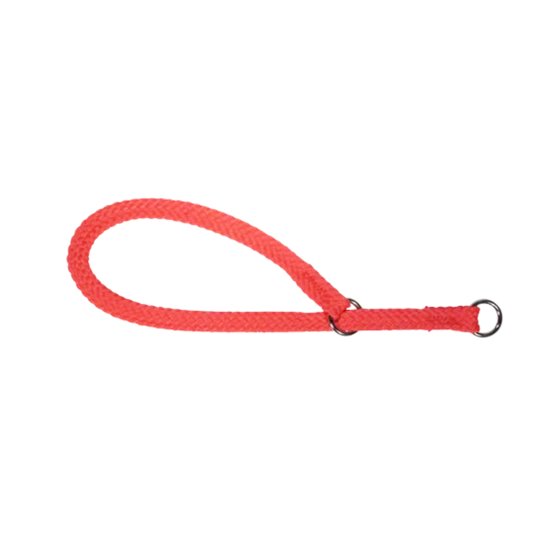 (image for) Beaupets Nylon Correction 10Mm X 50Cm Red - Click Image to Close