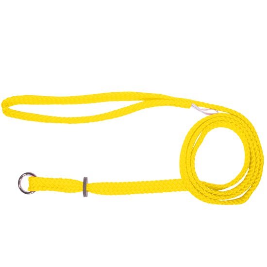 (image for) Beaupets Lead Correction 10mmX120cm Gold - Click Image to Close