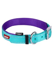 (image for) Kazoo Action Nylon Collar Aqua/Purp 450X15Mm M