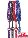 (image for) Beaupets Puppy Collar & Lead Set Paws/Bones Red