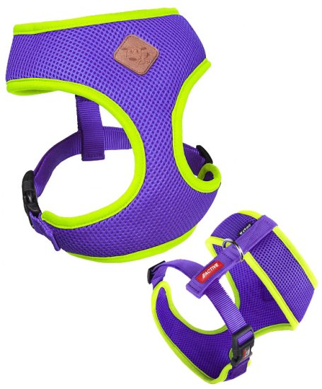 (image for) Kazoo Action Soft Walking Harness Purp/Lme Xxs - Click Image to Close