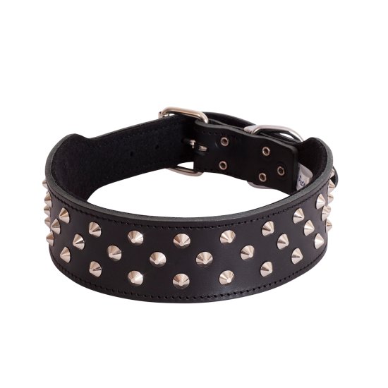 (image for) Beaupets Staffy Collar Studded 65Cm Black - Click Image to Close