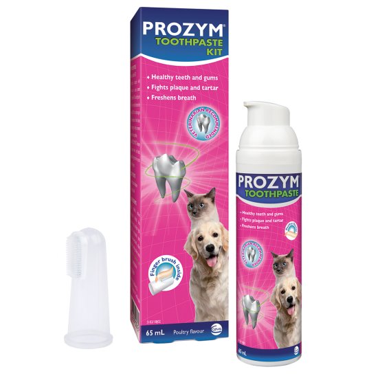 (image for) Prozym Dental Toothpaste Kit - Click Image to Close