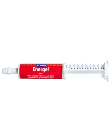 (image for) Vetsense Energel 60ml with Applicator for Dogs Cats Vitamin & Mineral Supplement - Click Image to Close