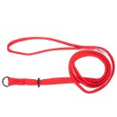 (image for) Beaupets Lead Correction 20mmX120cm Red