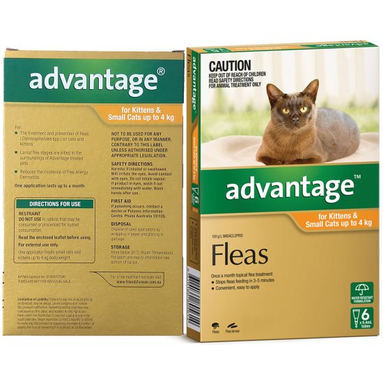(image for) Advantage Cat 0-4Kg Small Orange 6Pack - Click Image to Close
