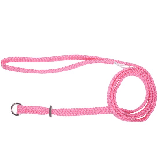 (image for) Beaupets Lead Correction 10mmX180cm Pink - Click Image to Close