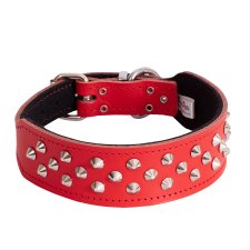 (image for) Beaupets Staffy Collar Studded 60Cm Red