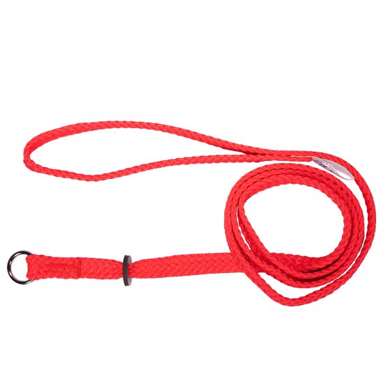 (image for) Beaupets Lead Correction 10mmX90cm Red - Click Image to Close