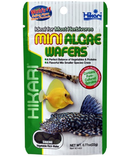 (image for) Hikari Mini Algae Wafers 22g - Click Image to Close