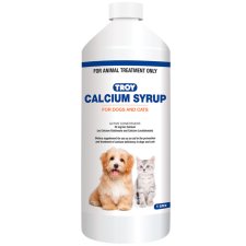 (image for) Troy Calcium Syrup 1L