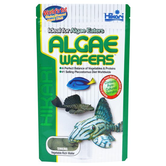 (image for) Hikari Algae Wafers 40g - Click Image to Close