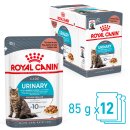 (image for) Royal Canin Cat Wet Pouches 12X85G Gravy Urinary Care