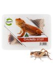 (image for) Pisces Live Crickets Small Bulk Approx 2000