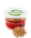 (image for) Pisces Live Mealworms 100g