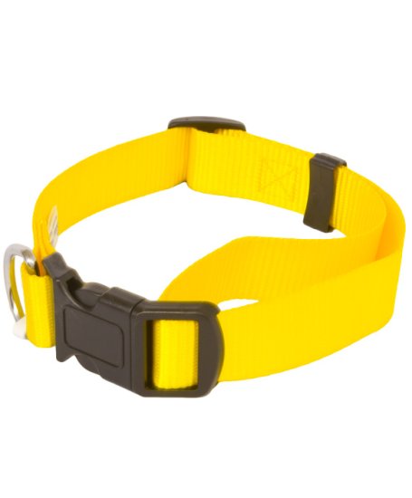 (image for) Beaupets Collar Polyware Adjustable 28-45Cm Gold - Click Image to Close