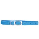 (image for) Beaupets Puppy Suede Collar 30cm Blue