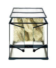 (image for) Exo Terra Glass Terrarium 12X12X12 inch