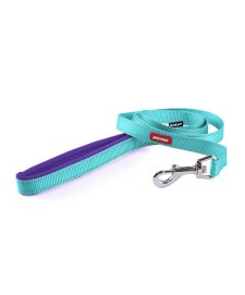 (image for) Kazoo Action Nylon Lead Aqua/Purp 1200X25Mm