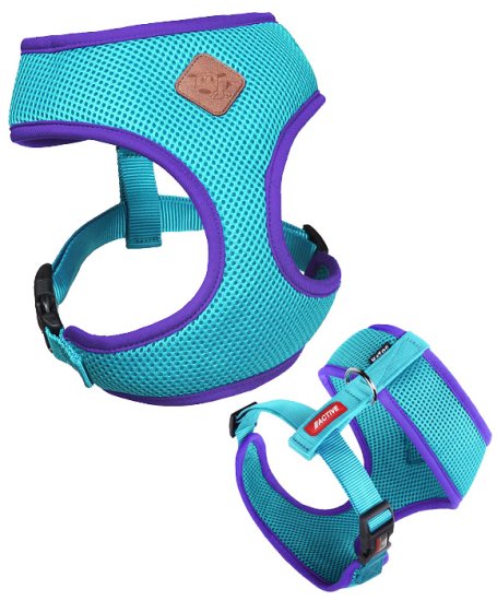 (image for) Kazoo Action Soft Walking Harness Aqu/Purp Puppy - Click Image to Close