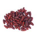 (image for) Pisces Live Fly Pupae 25g