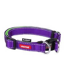 (image for) Kazoo Action Adj Nylon Collar Purp/Lme 20Mm L