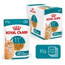 (image for) Royal Canin Cat Wet Pouches 12X85G Gravy Ageing 11+
