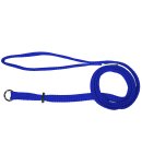 (image for) Beaupets Lead Correction 10mmX90cm Blue