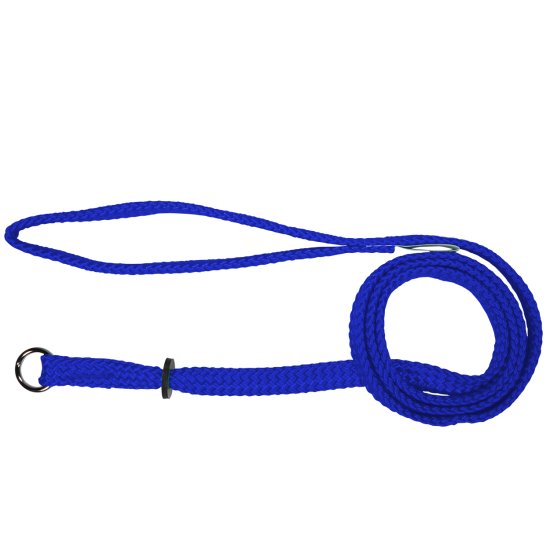 (image for) Beaupets Lead Correction 10mmX90cm Blue - Click Image to Close