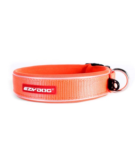 (image for) Ezydog Collar Classic XS Orange - Click Image to Close