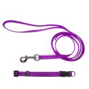 (image for) Beaupets Puppy Collar & Lead Set Purple