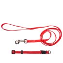 (image for) Beaupets Puppy Collar & Lead Set Red