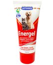 Vetsense Energel 200g for Dogs and Cats - Vitamin & Mineral Supplement