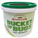 (image for) MiniBeasts Crickets Medium Bucket Approx 200