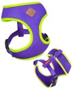 (image for) Kazoo Action Soft Walking Harness Purp/Lme Puppy