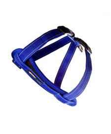 (image for) Ezydog Harness CP M Blue