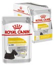 (image for) Royal Canin Dog Wet 12x85g Dermacomfort Loaf