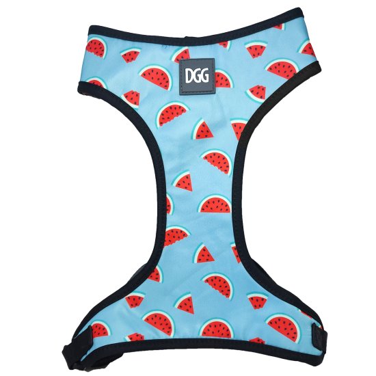 (image for) DGG Easy Walk Harness Small Melon - Click Image to Close