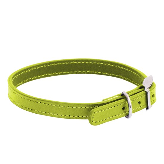 (image for) Beaupets Collar Leather Patent Plain 40Cm Green - Click Image to Close