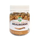 (image for) Pisces Freeze Dried Mealworms 40g