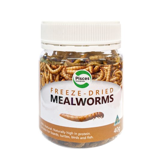 (image for) Pisces Freeze Dried Mealworms 40g - Click Image to Close