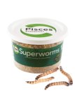 (image for) Pisces Live SuperWorms 100g