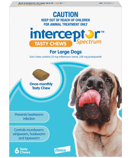 (image for) Interceptor Chews Dog 22-45Kg Large Blue 6 Pack - Click Image to Close