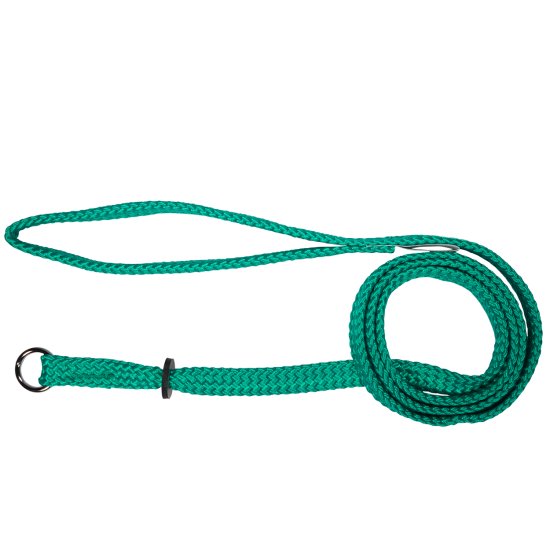 (image for) Beaupets Lead Correction 10mmX120cm Green - Click Image to Close