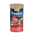 (image for) Tetra Fish Tropical XL Granules 75G
